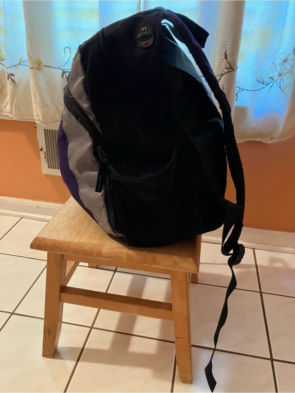 Purple and Gray  Backpack